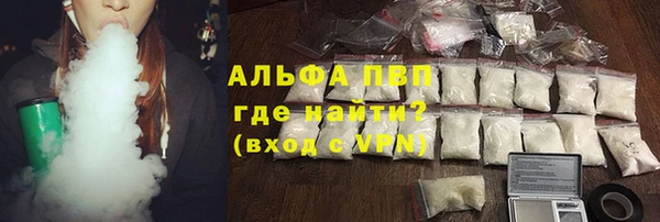 стаф Богородицк