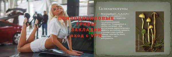 стаф Богородицк