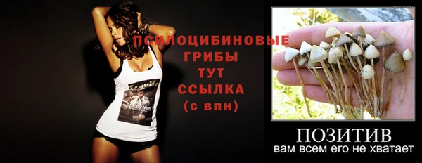 ешки Богданович