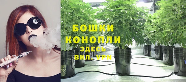 стаф Богородицк