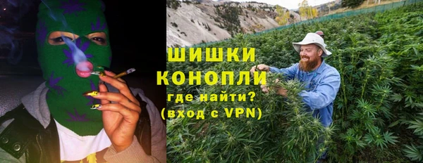 стаф Богородицк