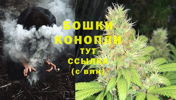 стаф Богородицк