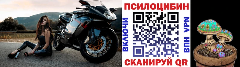 Купить закладки  Кемь  Галлюциногенные грибы Magic Shrooms 